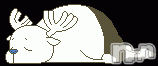 ĥʥå륺СݿξСޤޤ(ɥ󥷥祯祦ޥޥ) 2010ǯ1216ֻ̥֥ȯ