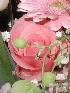 ĥʥå륺СݿξСޤޤ(ɥ󥷥祯祦ޥޥ) 2012ǯ21̥֥֤ǤȤ