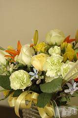 ĥʥå륺СݿξСޤޤ(ɥ󥷥祯祦ޥޥ) 2012ǯ628̥֥֤ޤޤ