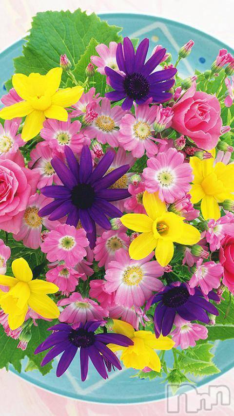 ĥʥå륺СݿξСޤޤ(ɥ󥷥祯祦ޥޥ) 2013ǯ73̥֥֥ޥ(^o^)