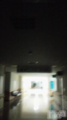 ĥʥå륺СݿξСޤޤ(ɥ󥷥祯祦ޥޥ) ͥҤ725̥֥֥䡼ġ
