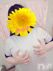 松本発ぽっちゃり癒し姫 松本店(イヤシヒメマツモトテン) 20代☆あやめ姫(24)の9月24日写メブログ「揉みしだいて♡」