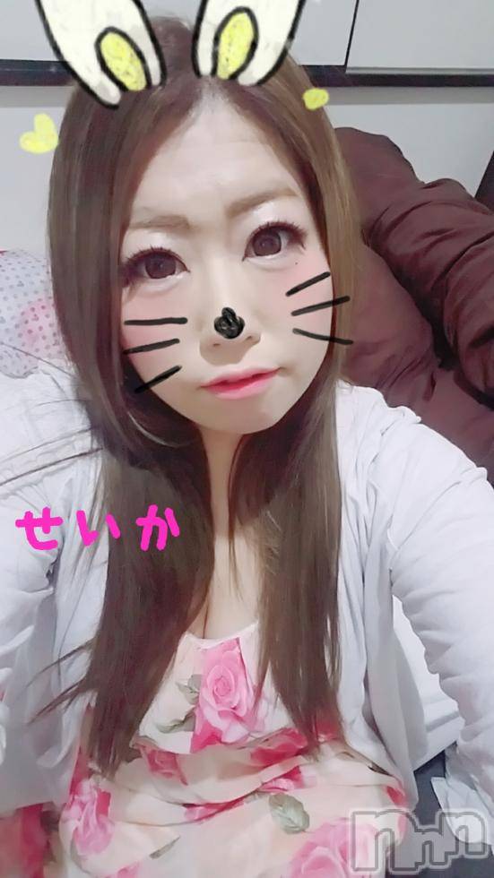 新潟デリヘル奥様特急 新潟店(オクサマトッキュウニイガタテン) せいか(32)の8月16日写メブログ「出勤★」