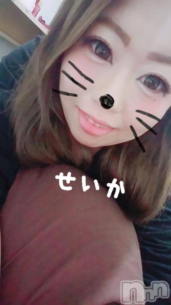 新潟デリヘル奥様特急 新潟店(オクサマトッキュウニイガタテン) せいか(32)の8月17日写メブログ「ありがとう★」