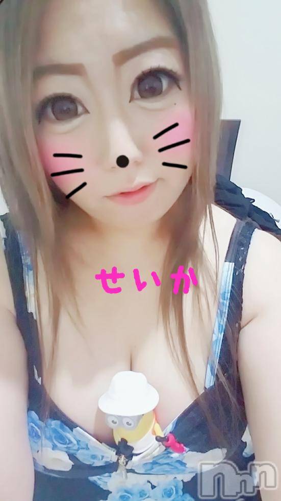 新潟デリヘル奥様特急 新潟店(オクサマトッキュウニイガタテン) せいか(32)の8月22日写メブログ「またねー★」