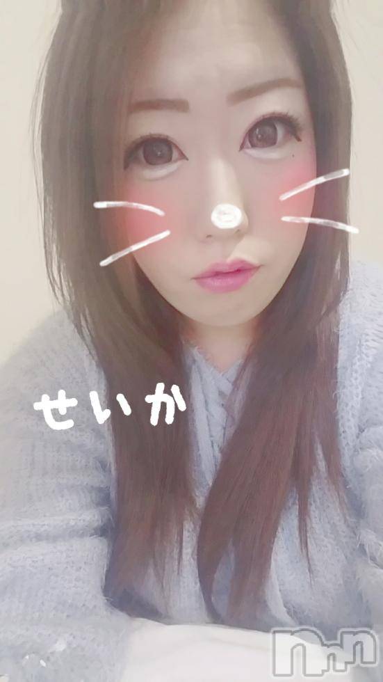 新潟デリヘル奥様特急 新潟店(オクサマトッキュウニイガタテン) せいか(32)の12月9日写メブログ「出勤★」