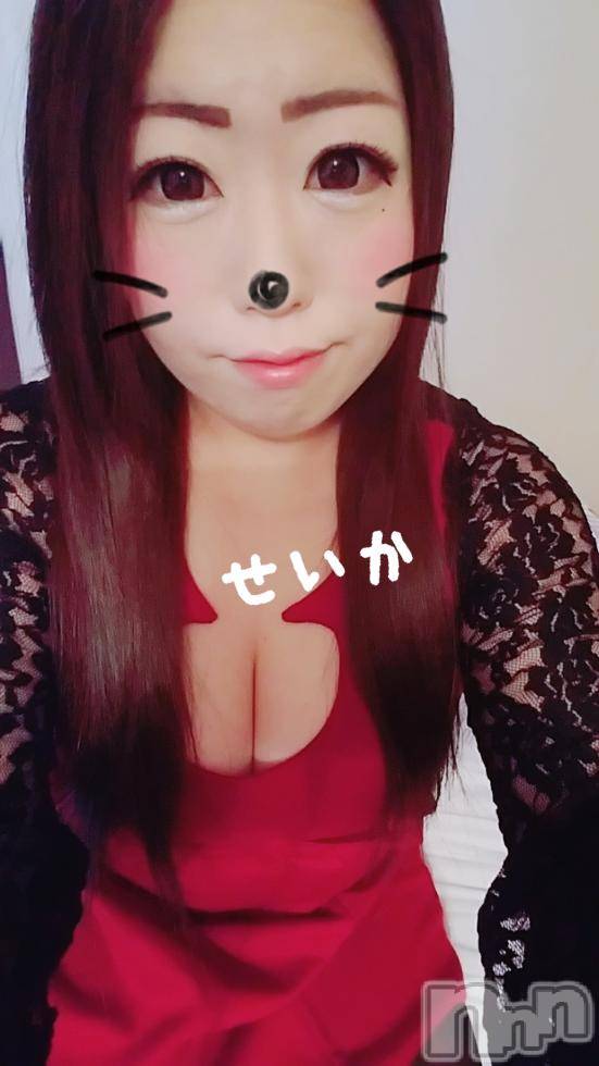 新潟デリヘル奥様特急 新潟店(オクサマトッキュウニイガタテン) せいか(32)の3月10日写メブログ「出勤☆」