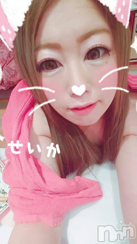 新潟デリヘル奥様特急 新潟店(オクサマトッキュウニイガタテン) せいか(32)の3月16日写メブログ「ありがとう☆」