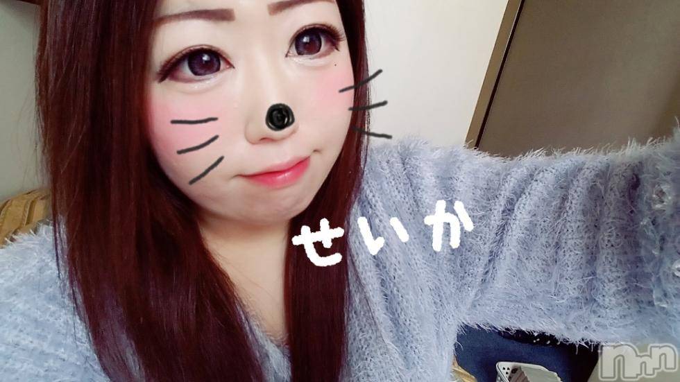 新潟デリヘル奥様特急 新潟店(オクサマトッキュウニイガタテン) せいか(32)の3月17日写メブログ「あと3日☆」