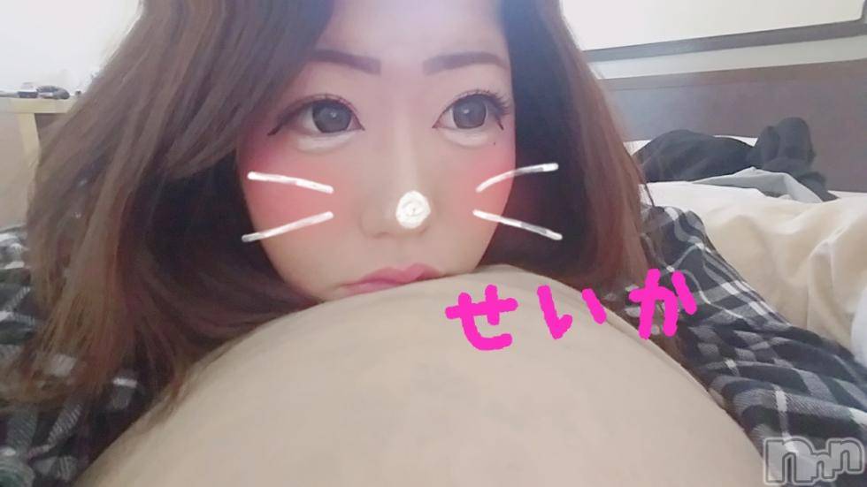 新潟デリヘル奥様特急 新潟店(オクサマトッキュウニイガタテン) せいか(32)の8月30日写メブログ「ありがとう☆」