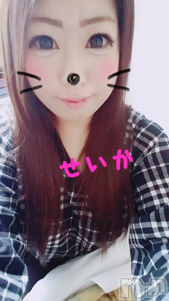 新潟デリヘル奥様特急 新潟店(オクサマトッキュウニイガタテン) せいか(32)の3月31日写メブログ「ありがとう☆」