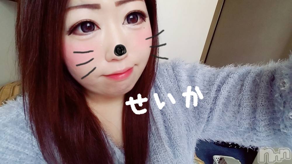 新潟デリヘル奥様特急 新潟店(オクサマトッキュウニイガタテン) せいか(32)の4月6日写メブログ「ありがとう☆」