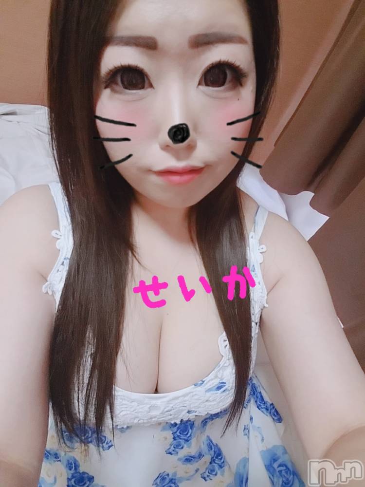 新潟デリヘル奥様特急 新潟店(オクサマトッキュウニイガタテン) せいか(32)の5月7日写メブログ「ありがとう☆」