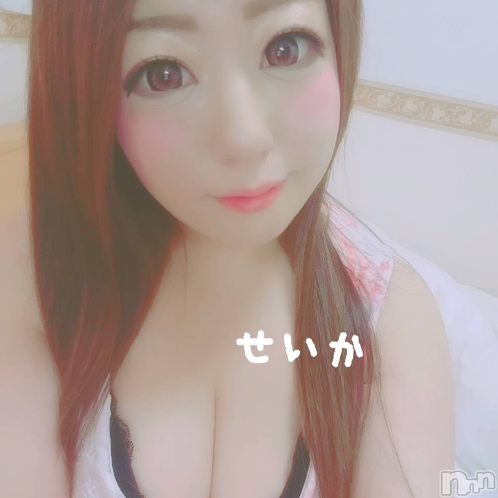 新潟デリヘル奥様特急 新潟店(オクサマトッキュウニイガタテン) せいか(32)の8月24日写メブログ「出勤☆」