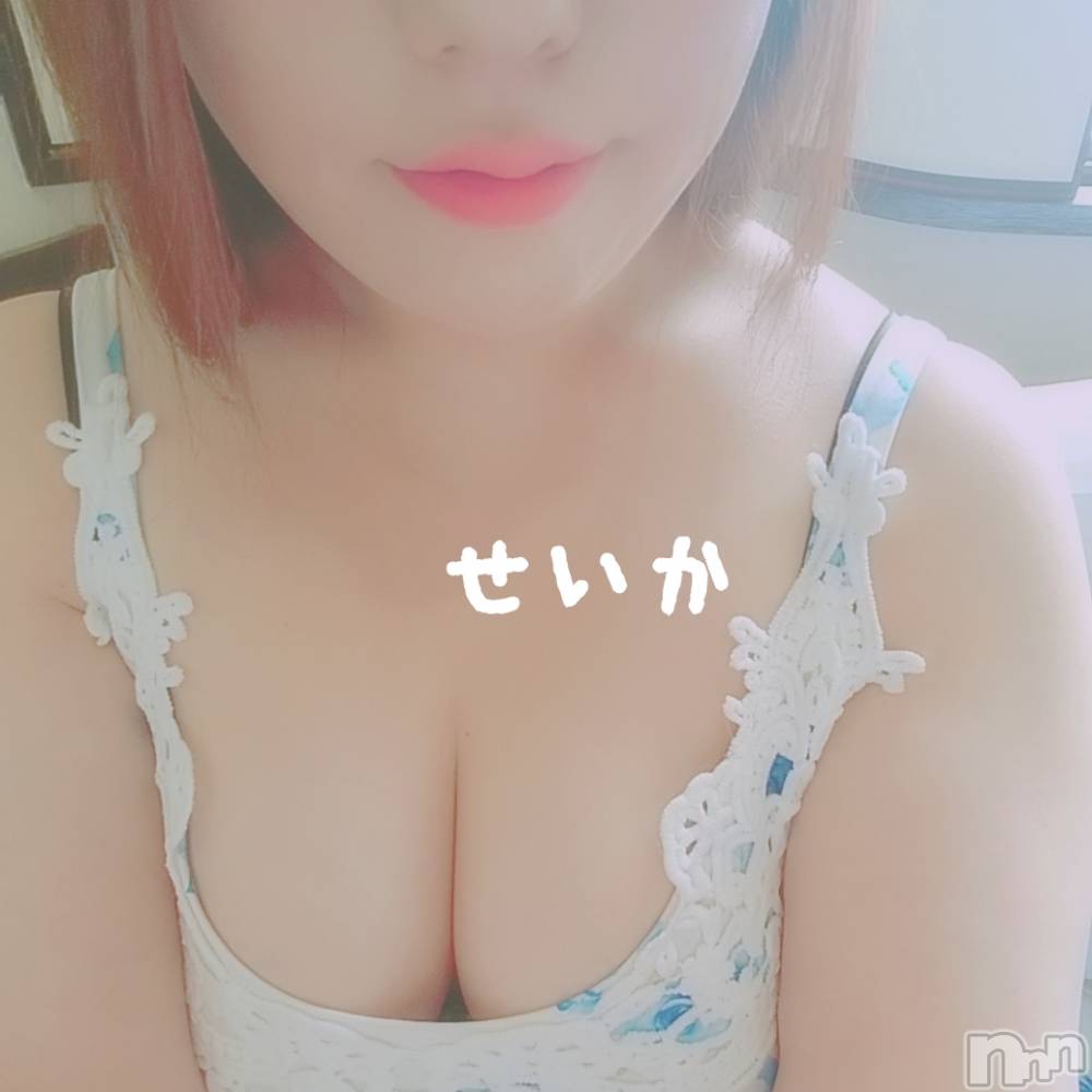 新潟デリヘル奥様特急 新潟店(オクサマトッキュウニイガタテン) せいか(32)の9月14日写メブログ「出勤☆」