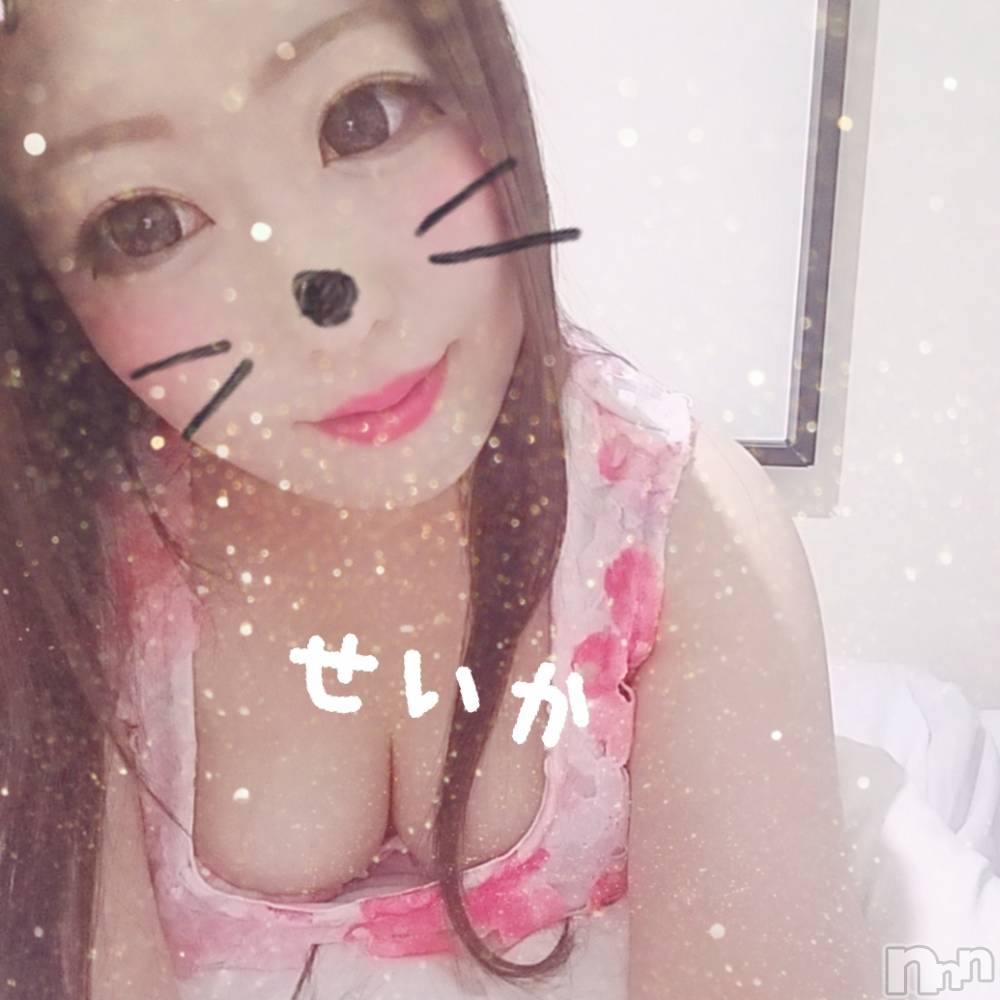 新潟デリヘル奥様特急 新潟店(オクサマトッキュウニイガタテン) せいか(32)の9月22日写メブログ「出勤☆」