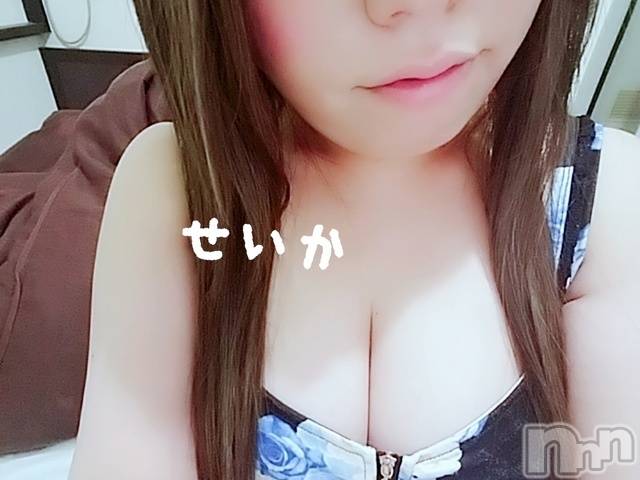 新潟デリヘル奥様特急 新潟店(オクサマトッキュウニイガタテン) せいか(32)の9月26日写メブログ「出勤☆」