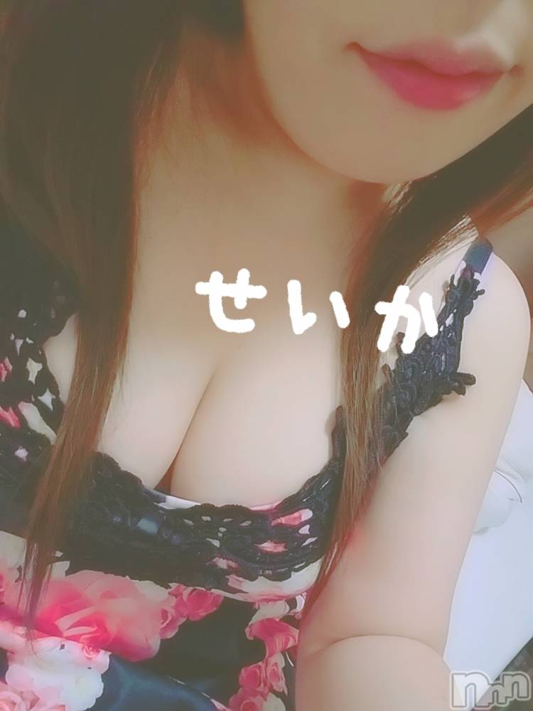 新潟デリヘル奥様特急 新潟店(オクサマトッキュウニイガタテン) せいか(32)の9月27日写メブログ「お待ちしてます☆」