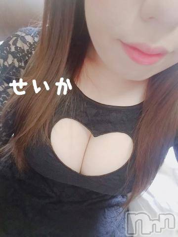 新潟デリヘル奥様特急 新潟店(オクサマトッキュウニイガタテン) せいか(32)の5月25日写メブログ「戻ってます☆」