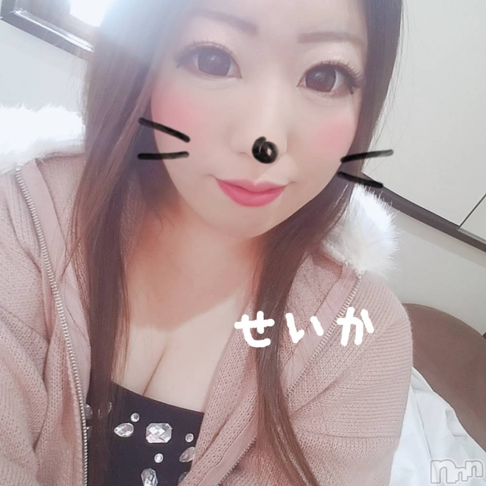 新潟デリヘル奥様特急 新潟店(オクサマトッキュウニイガタテン) せいか(32)の2月13日写メブログ「おはよう☆」