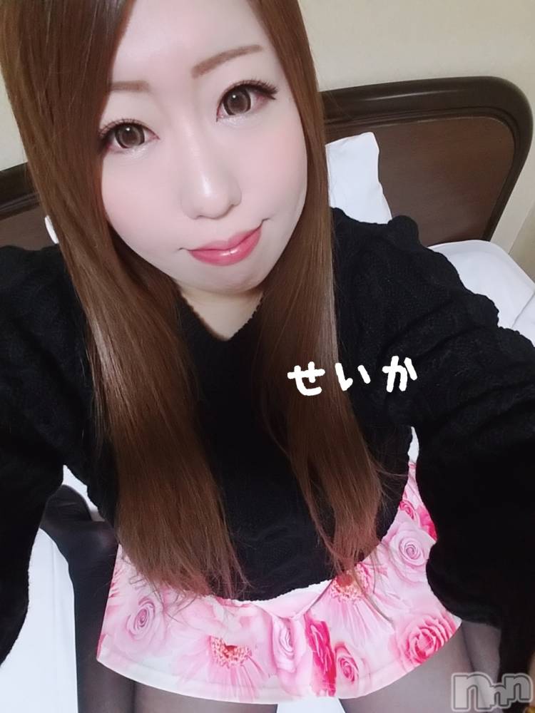 新潟デリヘル奥様特急 新潟店(オクサマトッキュウニイガタテン) せいか(32)の3月31日写メブログ「おはよう☆」