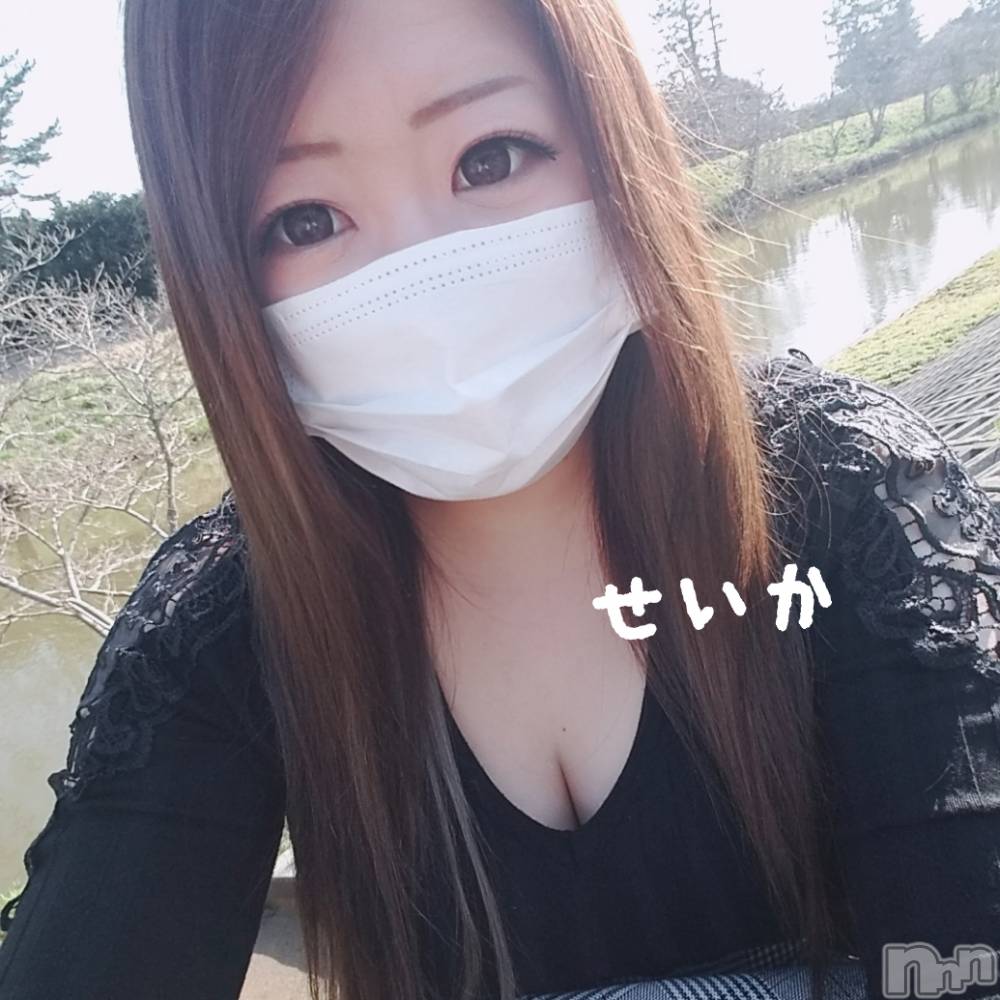新潟デリヘル奥様特急 新潟店(オクサマトッキュウニイガタテン) せいか(32)の4月1日写メブログ「おはよう☆」