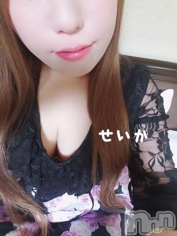 新潟デリヘル奥様特急 新潟店(オクサマトッキュウニイガタテン) せいか(32)の4月2日写メブログ「出勤☆」