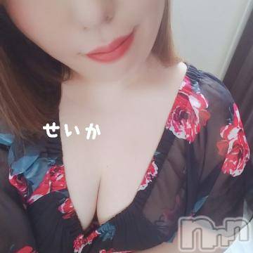 新潟デリヘル奥様特急 新潟店(オクサマトッキュウニイガタテン) せいか(32)の4月2日写メブログ「夜も☆」