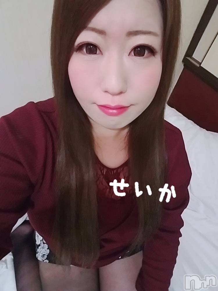 新潟デリヘル奥様特急 新潟店(オクサマトッキュウニイガタテン) せいか(32)の4月6日写メブログ「おはよう☆」