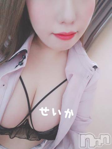 新潟デリヘル奥様特急 新潟店(オクサマトッキュウニイガタテン) せいか(32)の1月28日写メブログ「出勤☆」