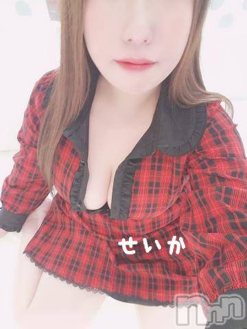新潟デリヘル奥様特急 新潟店(オクサマトッキュウニイガタテン) せいか(32)の1月28日写メブログ「戻ってます☆」
