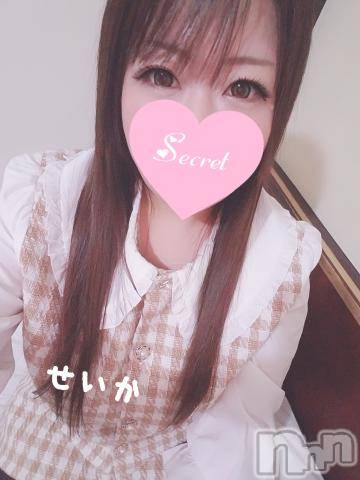 新潟デリヘル奥様特急 新潟店(オクサマトッキュウニイガタテン) せいか(32)の2月11日写メブログ「ありがとう☆」