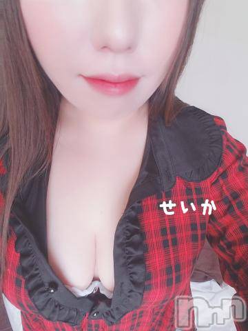 新潟デリヘル奥様特急 新潟店(オクサマトッキュウニイガタテン) せいか(32)の2月12日写メブログ「ありがとう☆」