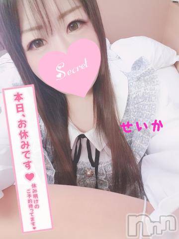 新潟デリヘル奥様特急 新潟店(オクサマトッキュウニイガタテン) せいか(32)の5月2日写メブログ「お休み☆」