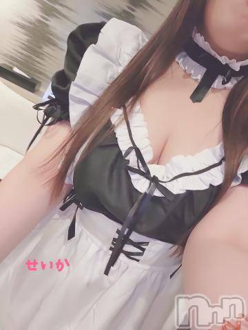 新潟デリヘル奥様特急 新潟店(オクサマトッキュウニイガタテン) せいか(32)の3月30日写メブログ「ありがとう☆」