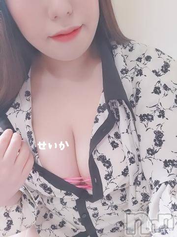 新潟デリヘル奥様特急 新潟店(オクサマトッキュウニイガタテン) せいか(32)の3月3日写メブログ「出勤☆」