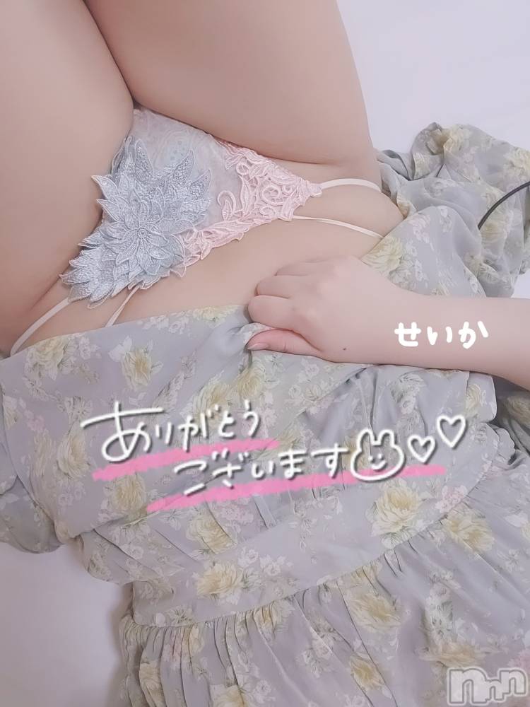 新潟デリヘル奥様特急 新潟店(オクサマトッキュウニイガタテン) せいか(32)の4月23日写メブログ「ありがとう☆」