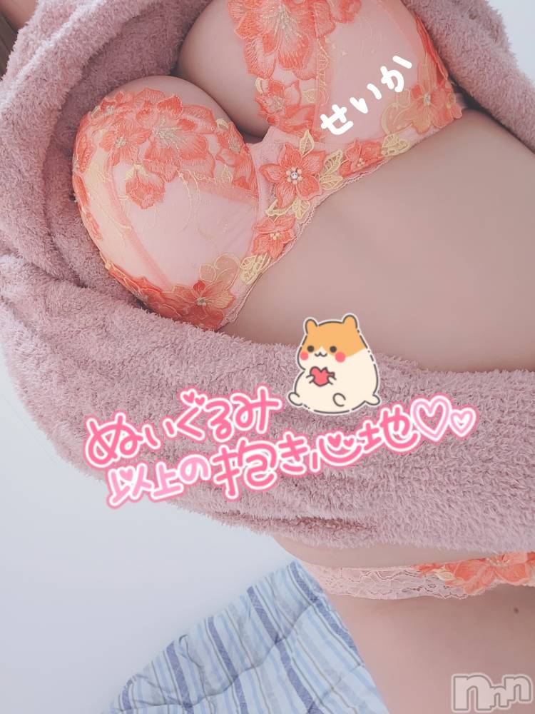 新潟デリヘル奥様特急 新潟店(オクサマトッキュウニイガタテン) せいか(32)の10月11日写メブログ「夜も☆」