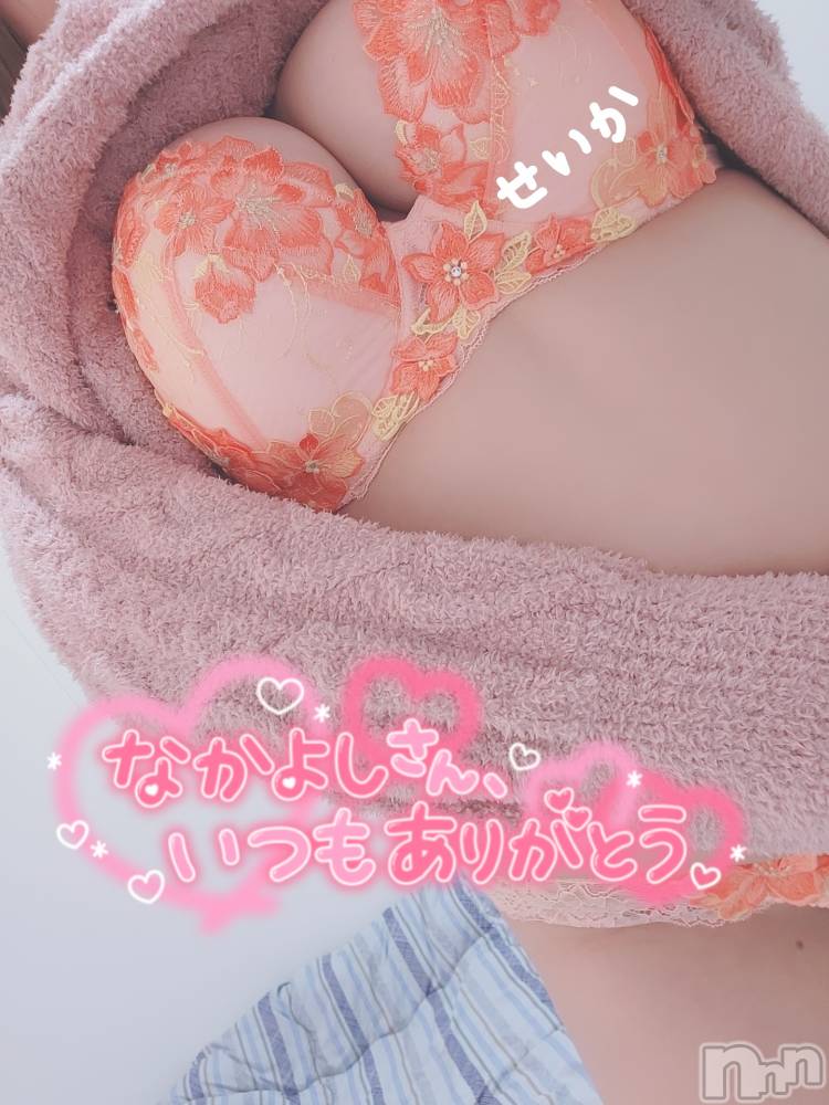 新潟デリヘル奥様特急 新潟店(オクサマトッキュウニイガタテン) せいか(32)の2月23日写メブログ「ありがとう☆」