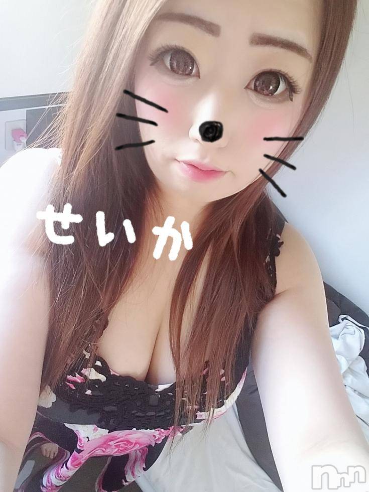新潟デリヘル奥様特急 新潟店(オクサマトッキュウニイガタテン)せいか(32)の2018年11月18日写メブログ「ありがとう☆」