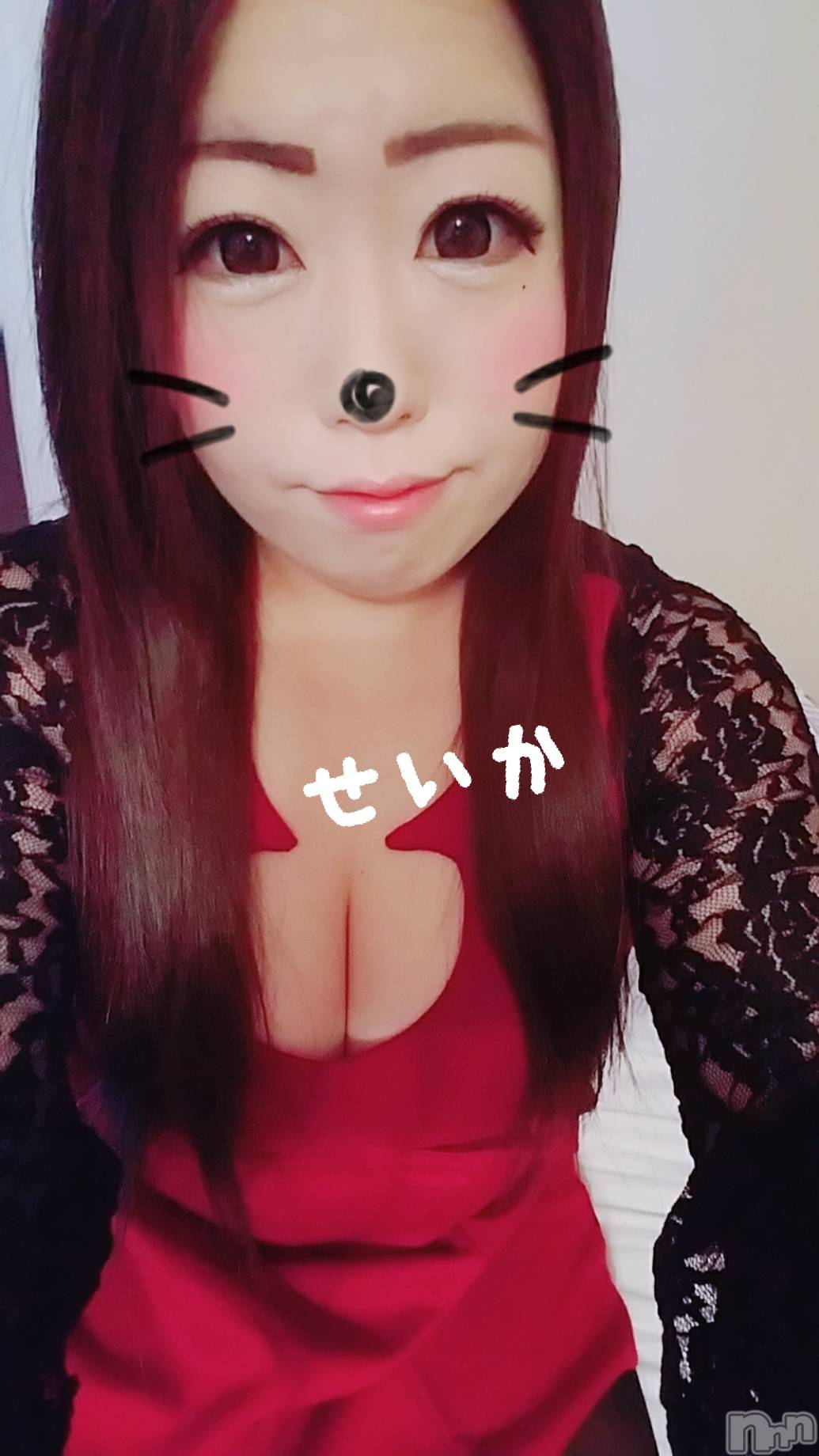 新潟デリヘル奥様特急 新潟店(オクサマトッキュウニイガタテン)せいか(32)の2019年4月11日写メブログ「ありがとう☆」