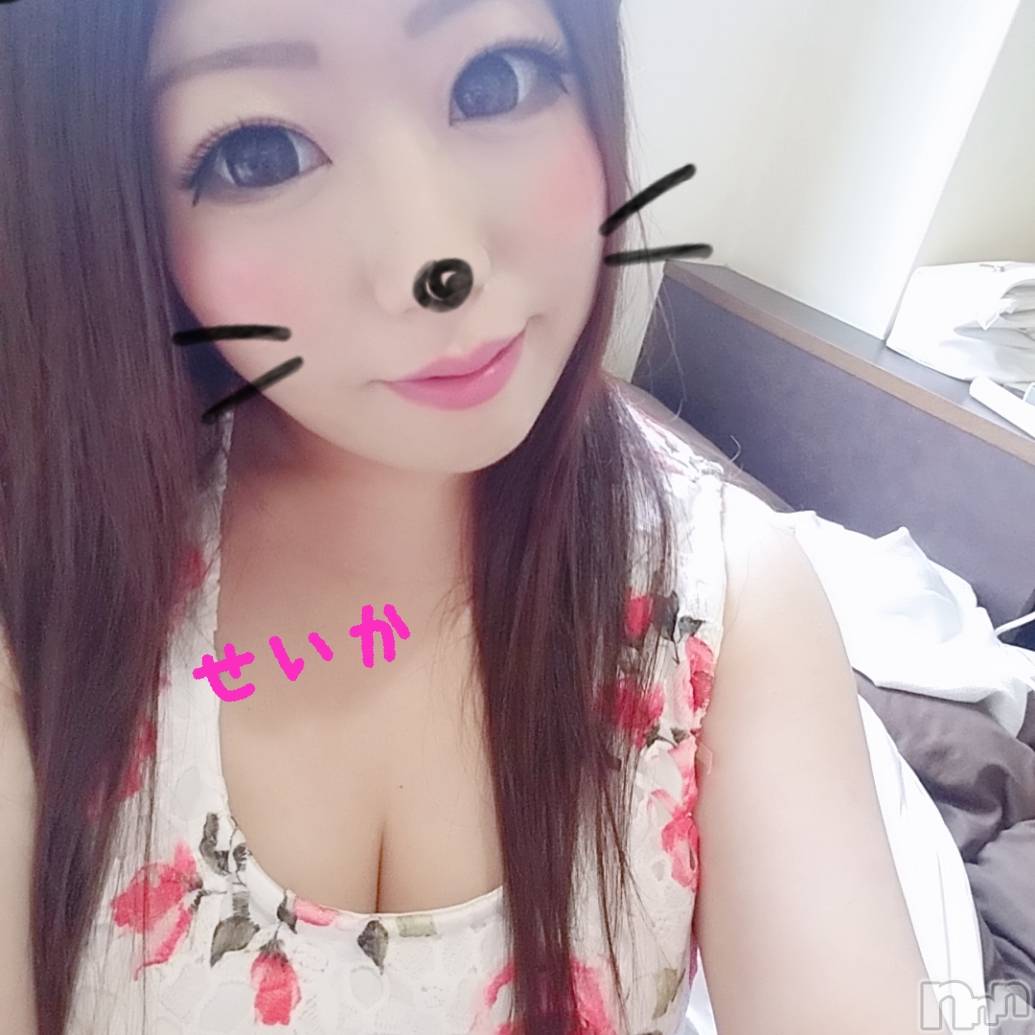 新潟デリヘル奥様特急 新潟店(オクサマトッキュウニイガタテン)せいか(32)の2019年8月25日写メブログ「ありがとう☆」