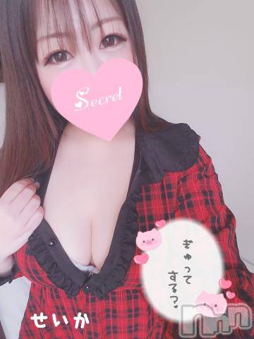 新潟デリヘル奥様特急 新潟店(オクサマトッキュウニイガタテン)せいか(32)の2022年2月10日写メブログ「戻ってるよ☆」
