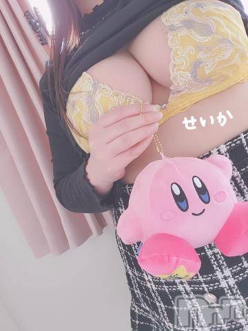 新潟デリヘル奥様特急 新潟店(オクサマトッキュウニイガタテン)せいか(32)の2023年4月5日写メブログ「ありがとう☆」