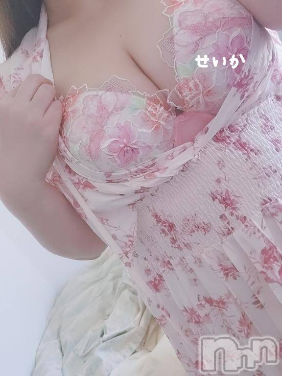 新潟デリヘル奥様特急 新潟店(オクサマトッキュウニイガタテン)せいか(32)の2025年7月14日写メブログ「おはよう☆」