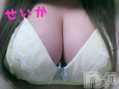 新潟デリヘル奥様特急 新潟店(オクサマトッキュウニイガタテン) せいか(32)の5月19日写メブログ「ありがとう✩」