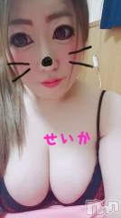 新潟デリヘル奥様特急 新潟店(オクサマトッキュウニイガタテン) せいか(32)の8月9日写メブログ「おはよう★」