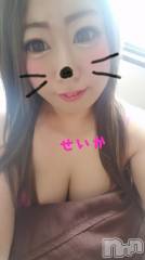 新潟デリヘル奥様特急 新潟店(オクサマトッキュウニイガタテン) せいか(32)の8月12日写メブログ「おはよう★」