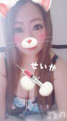 新潟デリヘル奥様特急 新潟店(オクサマトッキュウニイガタテン) せいか(32)の8月12日写メブログ「まったり★」