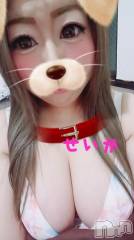 新潟デリヘル奥様特急 新潟店(オクサマトッキュウニイガタテン) せいか(32)の8月14日写メブログ「ありがとう★」